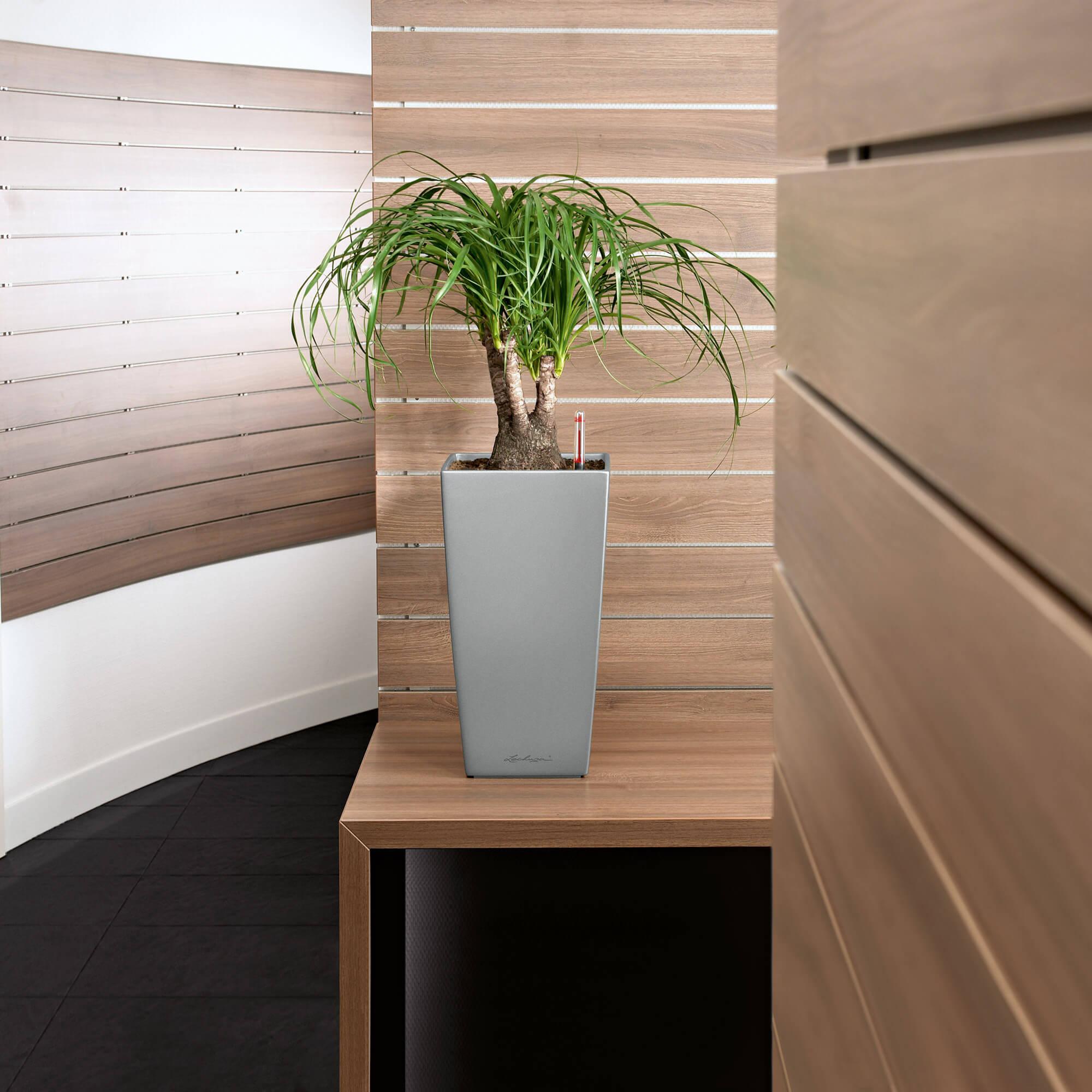 le_cubico22_product_addi_03